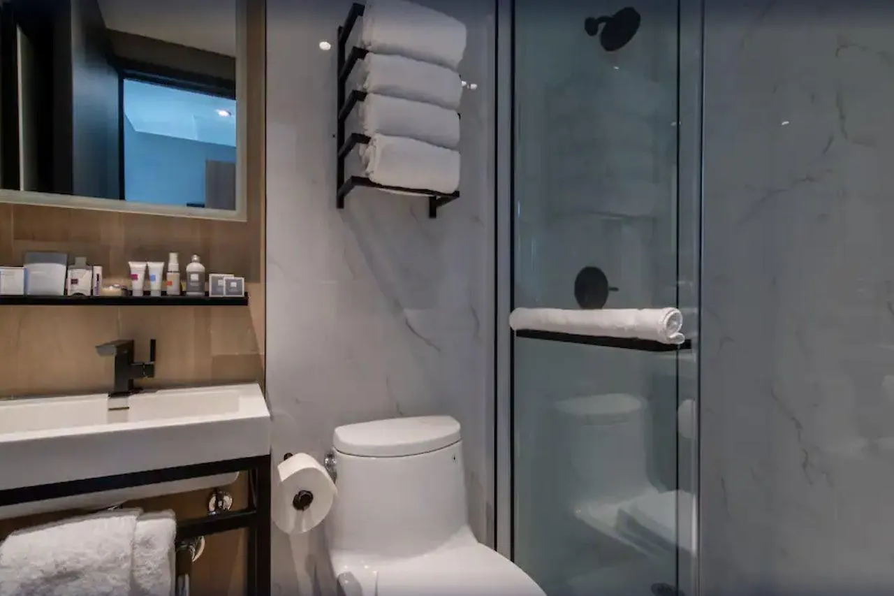 Hotel Indigo Nyc Downtown - Wall Street By Ihg New York United States